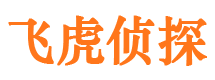 新龙侦探公司